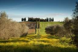 Val d´orcia
