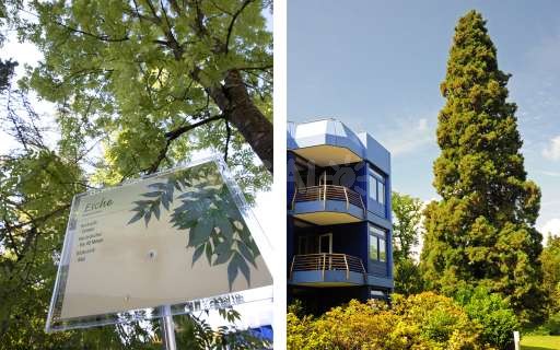 Ferienhaus von Marco