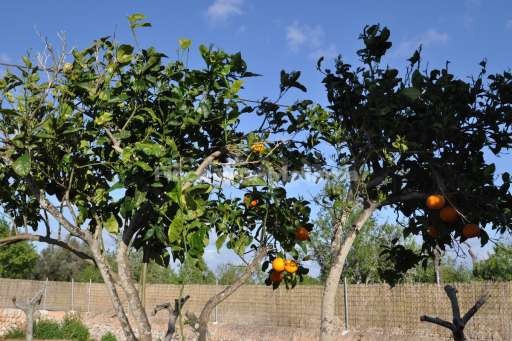 Ferienhaus von Marco