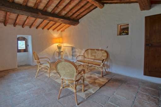 Fattoria i Ciliegi 1