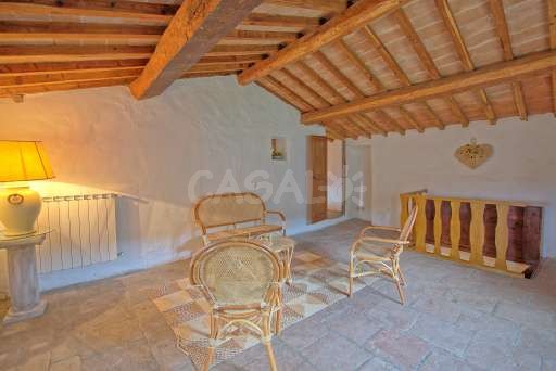 Fattoria i Ciliegi 1