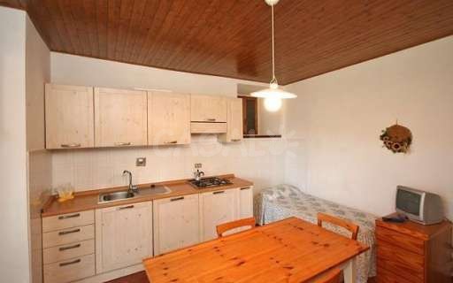 Fattoria i Ciliegi 2