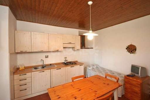 Fattoria i Ciliegi 2