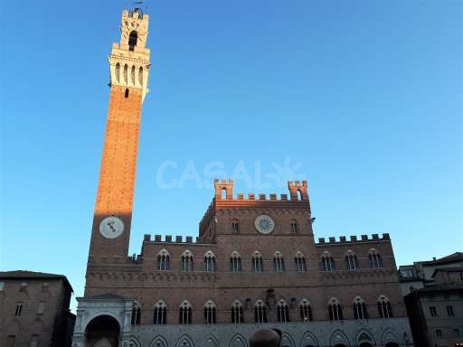 Piazza del Campo Siena