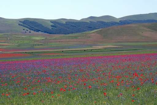 Umbrien Castelluccio
