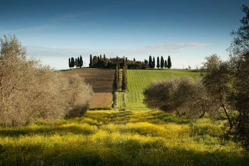 Val d´orcia