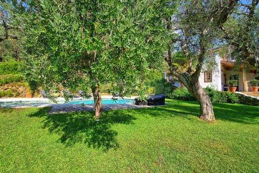Villa Oliveta
