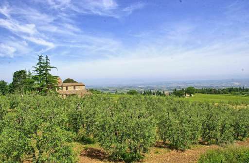Villa Simone